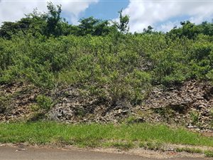 474 m² Land available in Belvedere