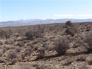 1524.5 ha Farm in Beaufort West