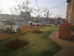2 Bed Apartment in Little Falls