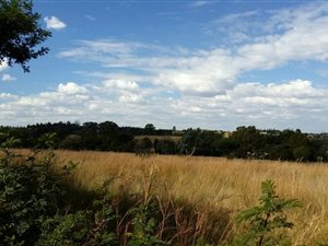 4.3 ha Land available in Sun Valley