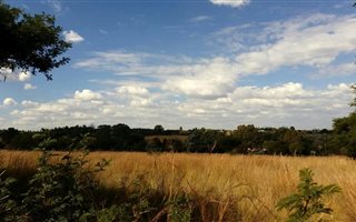 4.3 ha Land available in Sun Valley