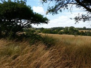 4.3 ha Land available in Sun Valley