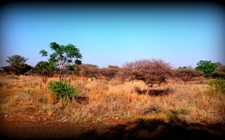 1.6 ha Land available in Ivydale