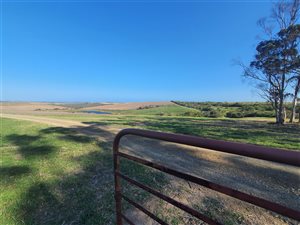 329 ha Farm in East London Rural