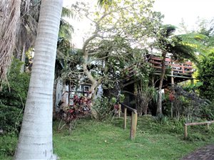 3 Bed House in Palm Beach