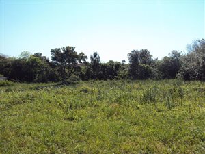 1075 m² Land available in Birdswood