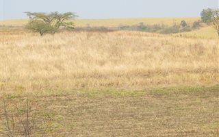 74 ha Farm in Darnall