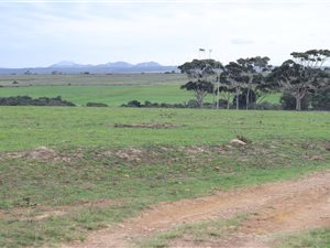 218 ha Farm in Paradise Beach