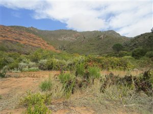 500 m² Land available in Riebeek Kasteel