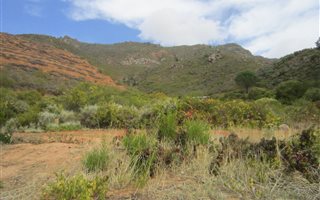500 m² Land available in Riebeek Kasteel