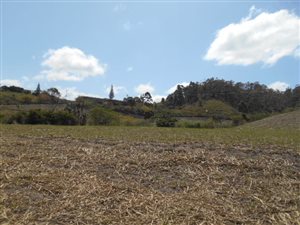Farm in Hibberdene
