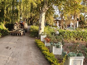23.4 ha Farm in Wellington Central
