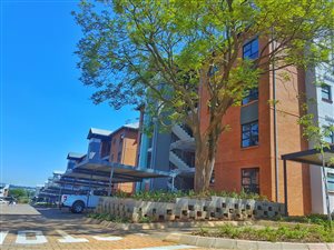 2 Bed Apartment in Founders Hill