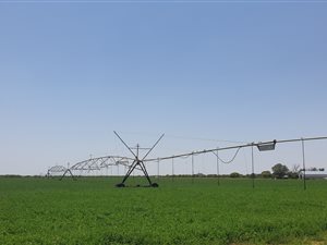 8020 ha Farm in Modimolle