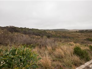 1057 m² Land available in Island View