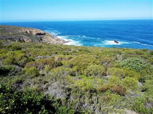 2621 m² Land available in Breakwater Bay Eco Estate