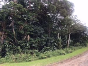 1685 m² Land available in Ramsgate