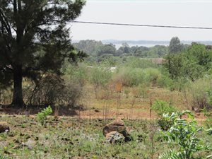 1115 m² Land available in Deneysville