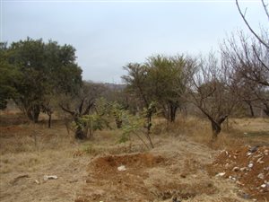 Commercial space in Zwartkop