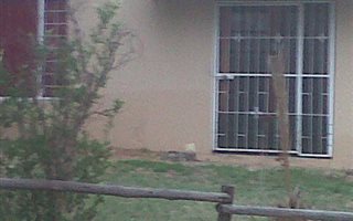 Smallholding in Leeukuil AH
