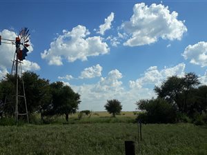 570 ha Farm in Wolmaranstad