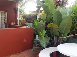 1 Bed Flat in Bluff
