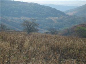 74 ha Land available in Darnall