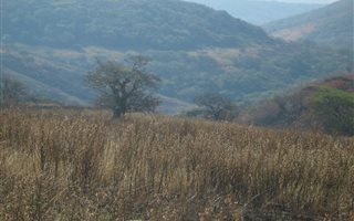 74 ha Land available in Darnall
