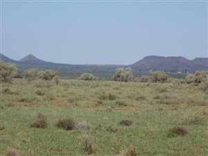 4647 ha Farm in Hopetown
