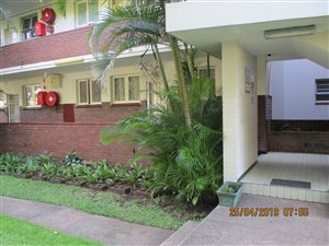 1 Bed Apartment in Morningside