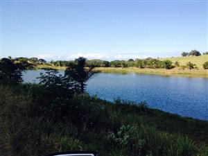 360 ha Farm in Ballito