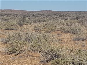 11032 ha Farm in Kenhardt