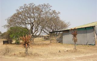4.2 ha Farm in Ivydale
