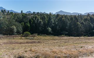 1137 m² Land available in Welgelegen