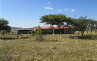 21 ha Farm in Vryheid