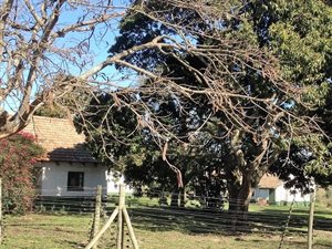 11 ha Farm in Ballito