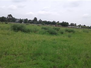 2.1 ha Land available in Buyscelia