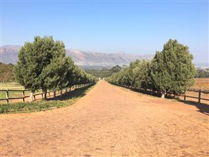 6009 m² Land available in Sir Lowrys Pass
