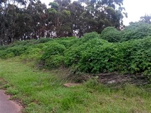 1100 m² Land available in Umkomaas