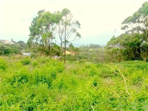 1100 m² Land available in Umkomaas