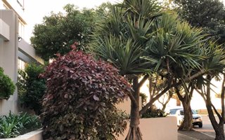 2 Bedroom Apartment in Sea Point