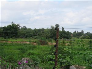 2 ha Land available in White River