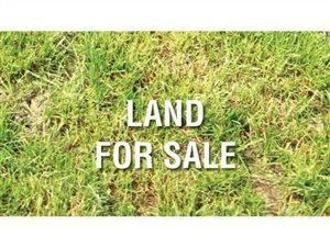 1677 m² Land available in Trompsburg