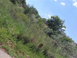 920 m² Land available in Hartbeesfontein