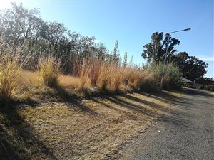 3918 m² Land available in Glencoe