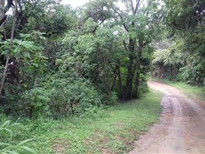 1064 m² Land available in Ramsgate