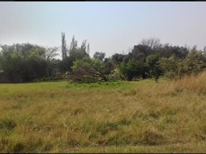 8565 m² Farm in President Park