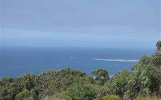 9 ha Land available in Uitzicht