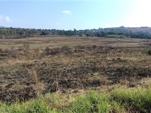 1260 m² Land available in Pioneer Park