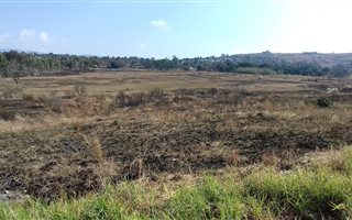 1260 m² Land available in Pioneer Park